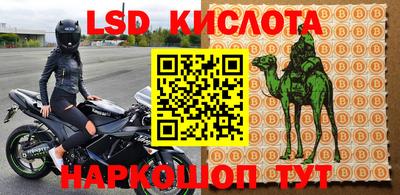 стафф Краснокаменск